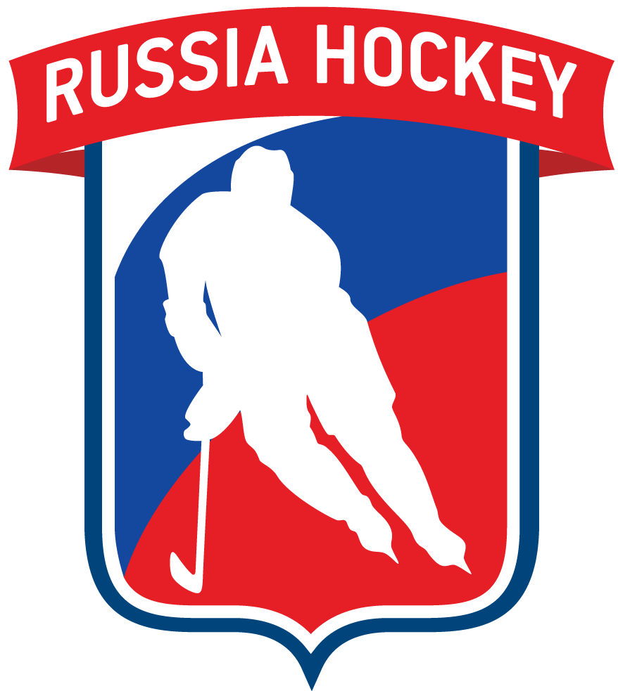 Russia 2016-Pres Partial Logo v3 iron on transfers for clothing